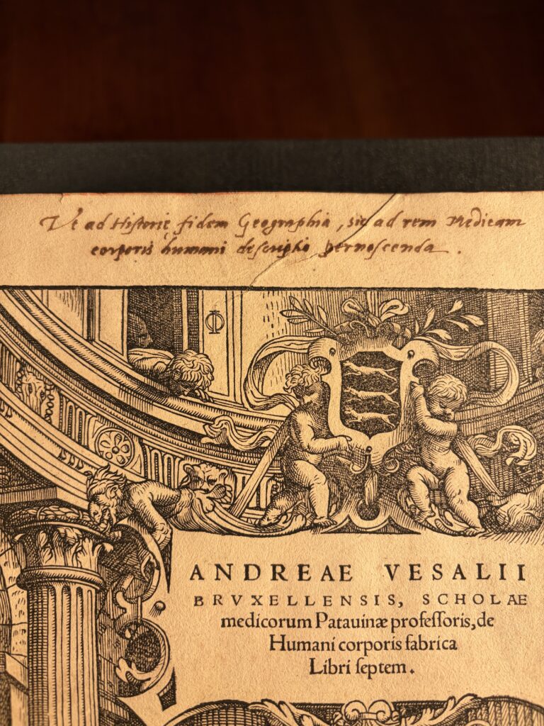 As geography is essential for historical truth, so the description of the human body is essential for medical knowledge (in Latin)