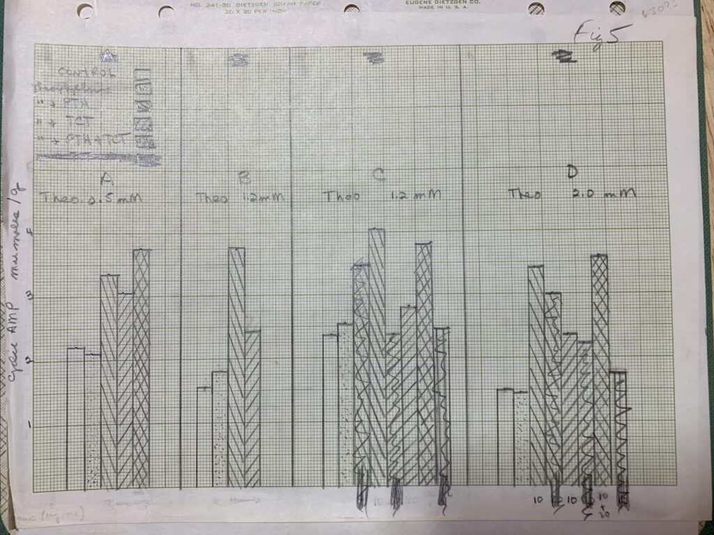 [A page showing handdrawn graphs from Dr. Ferid Murad's original research notebooks, undated. MS 106 Ferid Murad, MD, PhD papers, McGovern Historical Center, Texas Medical Center Library]