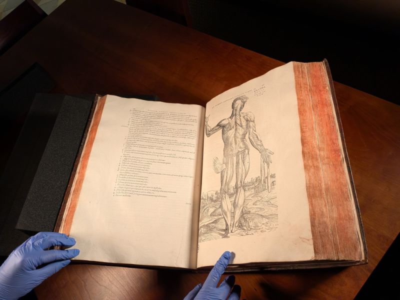 De Humani Corporis Fabrica: the Crown Jewel of the McGovern Historical Center Part One  