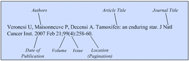 Journal Citation Format