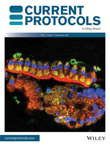 Wiley Current Protocols